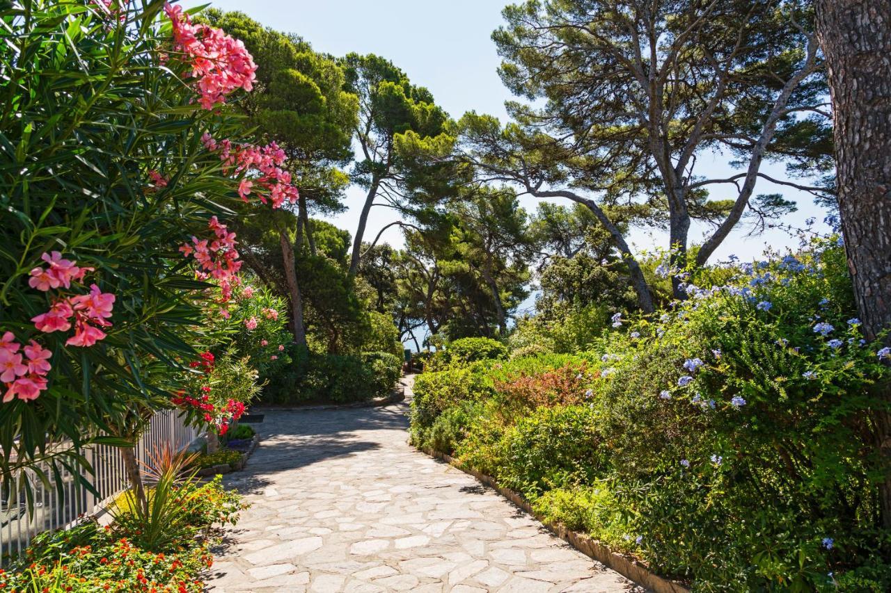 Parc Et Residence Le Provencal 히에레 외부 사진